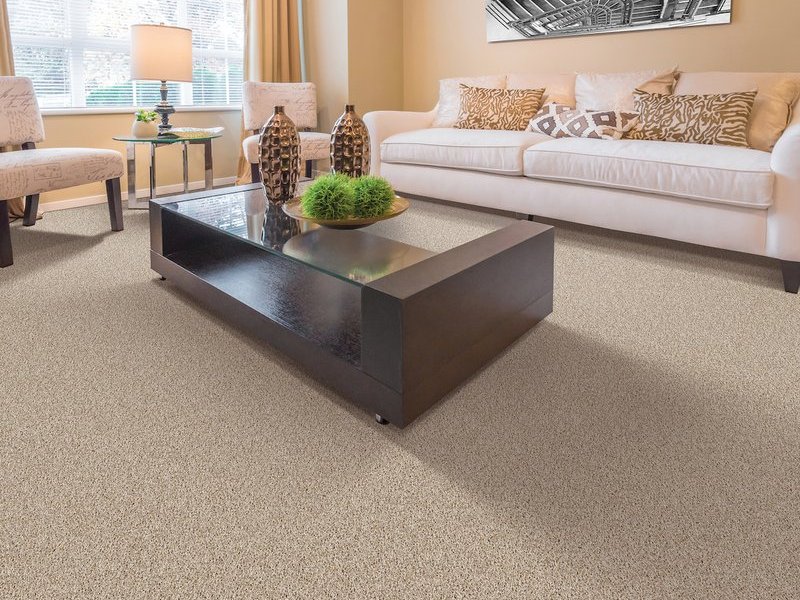 Carpet in an open concept living room